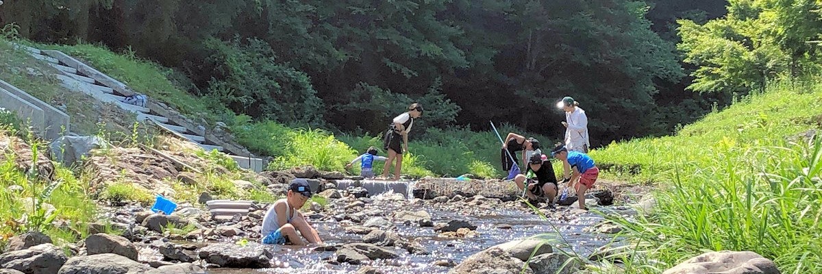 妙理川での川遊びの様子